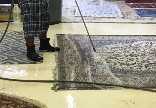 Area Rug Cleaner