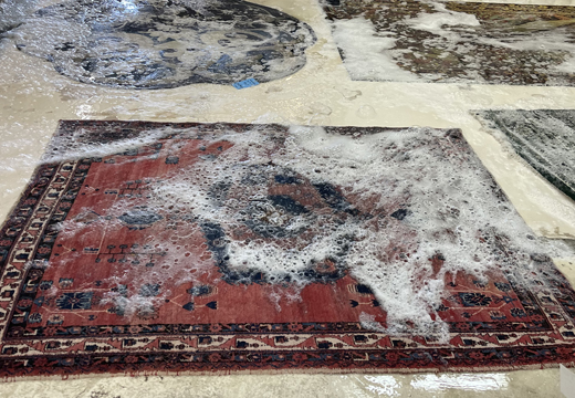 Area Rug Cleaning Service