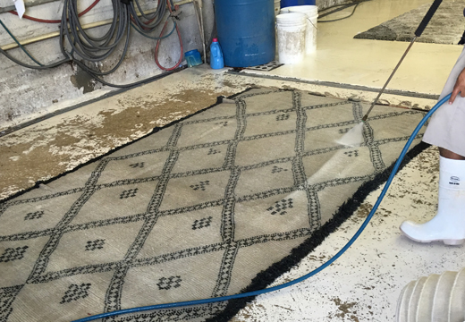 Area Rug Cleaning