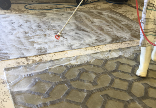 Modern Rug Cleaning Service