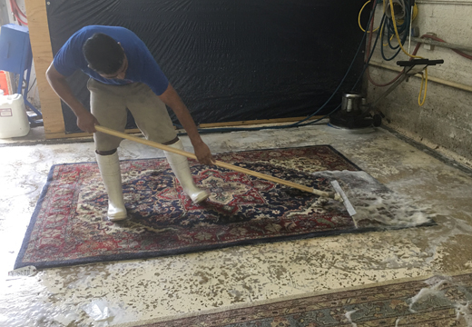 Persian Rug Cleaning