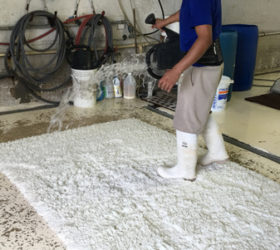 Wool Rug Cleaning