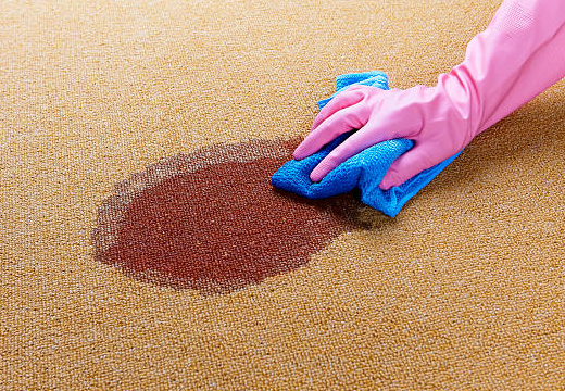 Sisal Rug Cleaning Service