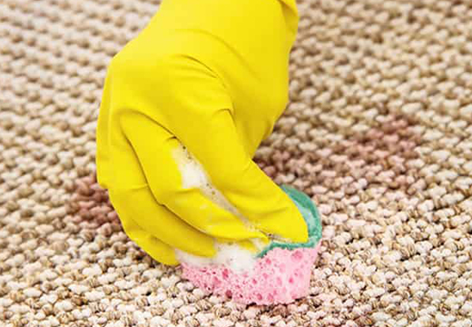 Sisal Rug Cleaning Service