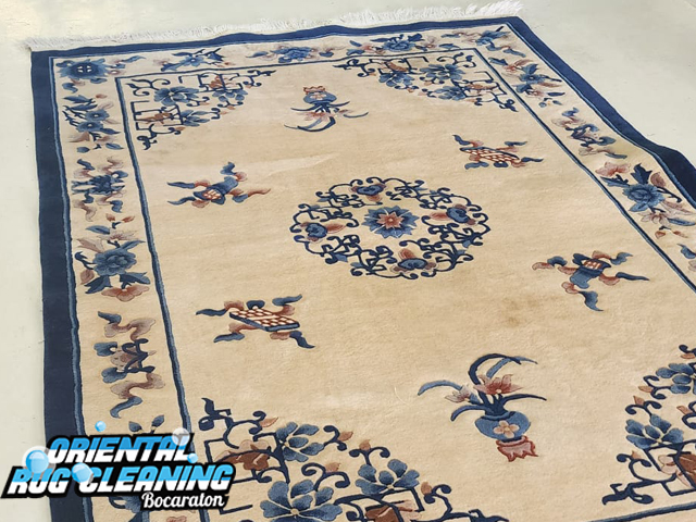 Pet Odor & Stain Removal Service Pet Odor & Stain Removal Service