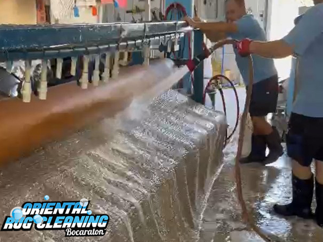 Sisal Rug Cleaning