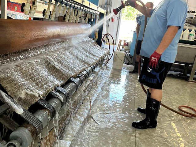 Wool Rug Cleaning Service
