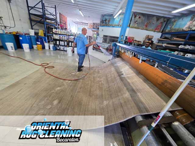 Area Rug Cleaning