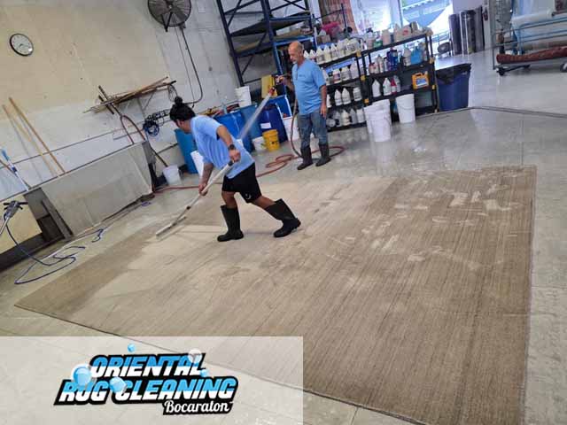 Area Rug Cleaning
